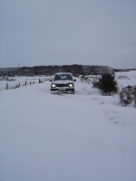 17th Dec 2010 004
